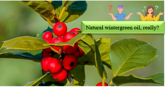 Wintergreen olioa - Nola identifikatu eta probatu daitezke osagai sintetikoak naturaltasuna?