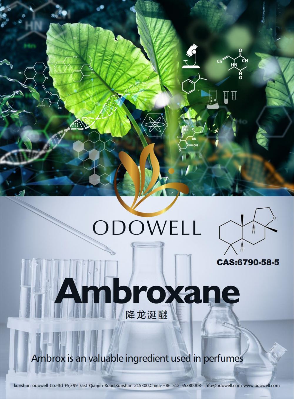 Odowellek urte arrakastatsua ospatzen du Ambroxane (Ambrox)