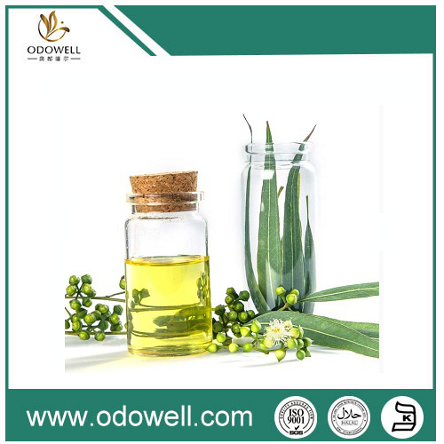 Gure Premium Eucalyptus olioa (eukalipto globulus) aurkeztea - Natural, benetakoa eta polifazetikoa