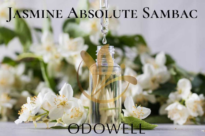 ODOWELL-ek Jasmine Absolute Sambac kaleratzen du - Perfume eta Edertasunerako Jasmine Absolutu Natural Premium
