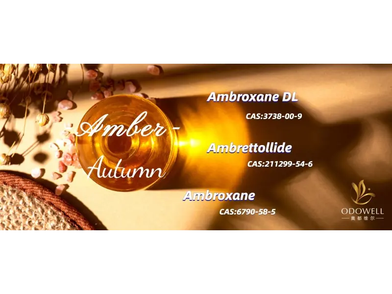 Zeintzuk dira 2025erako genero neutraleko usain nagusiak