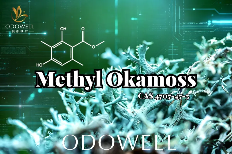 ODOWELL-ek Methyl Okamoss aurkezten du: benetako haritz sintetikoa Chypre eta Fougère menperatzeko