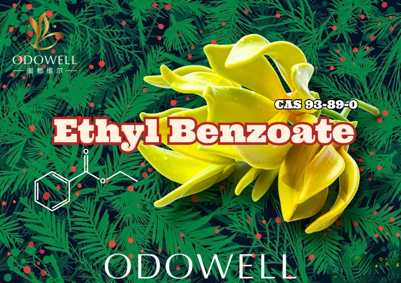 ODOWELL-ek etil benzoatoa kaleratzen du: Wintergreen-Ylang Ester epela lore eta ekialdeko dotoretasunerako