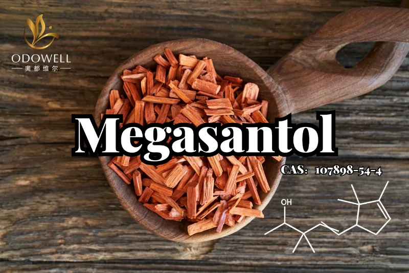 ODOWELL-ek Megasantola aurkezten du: sandalo-zuraren osagai sintetiko indartsua zurezko usain modernoaren diseinurako