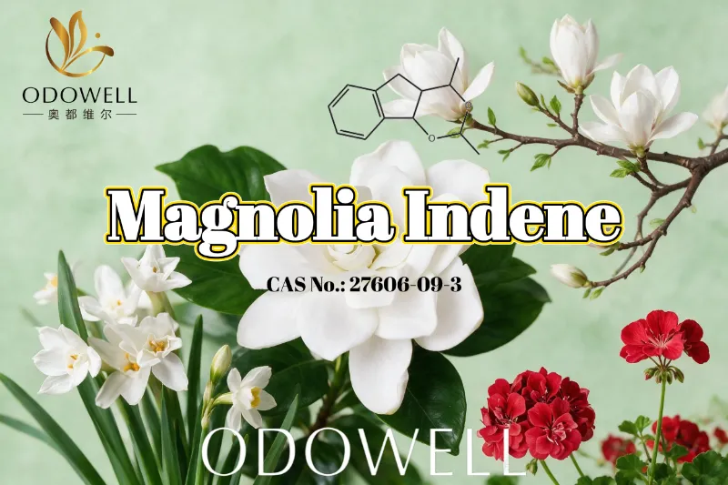 ODOWELL-ek Magnolia Indene gomendatzen du lore-berde eta zitrikoen usain freskoetarako.